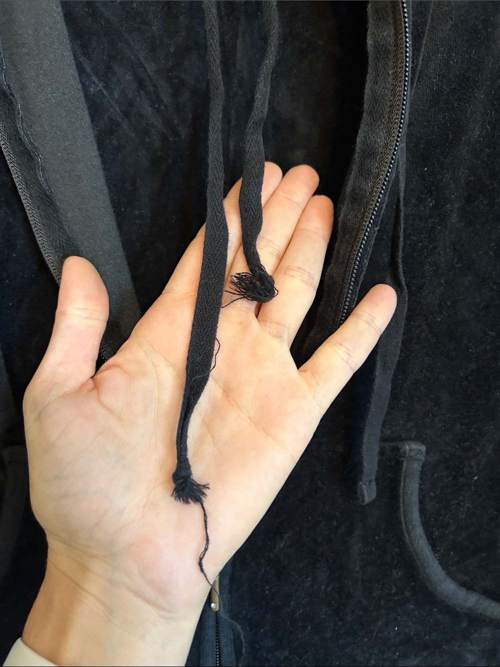 New York & Company Black Velour Zip-Up Hoodie Set - Picture 4 of 4